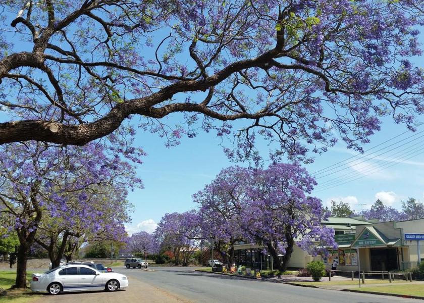 surrounding environment