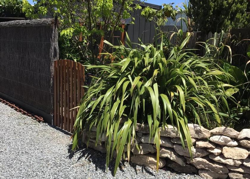 South Australia Coffin Bay garden