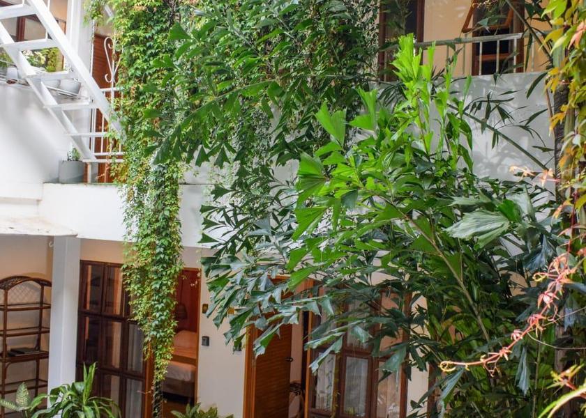 Valle del Cauca Cali garden