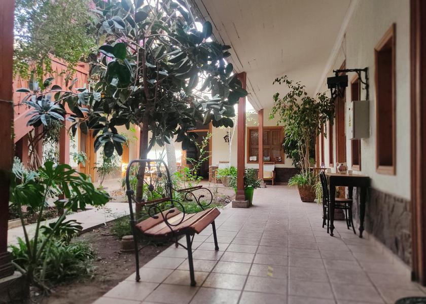 Coquimbo Region Vicuña interior view