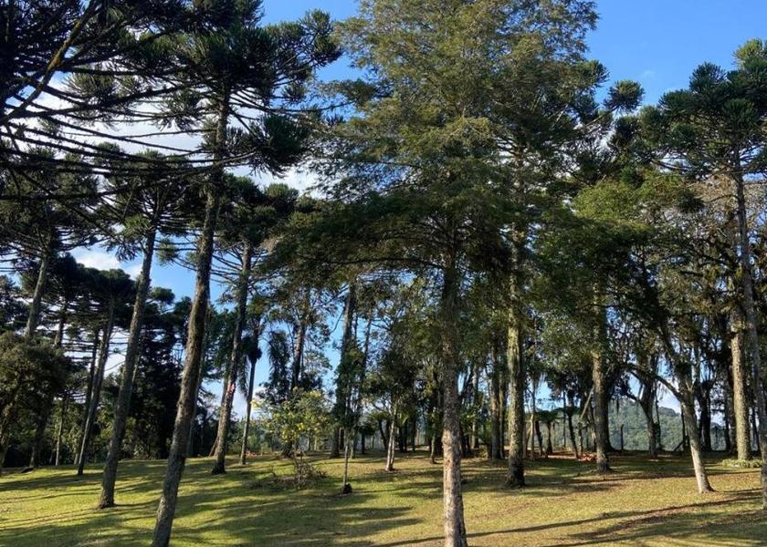Santa Catarina Sao Bento do Sul garden