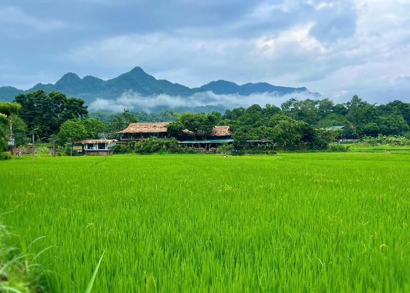 Phu Tho Province Mai Chau 