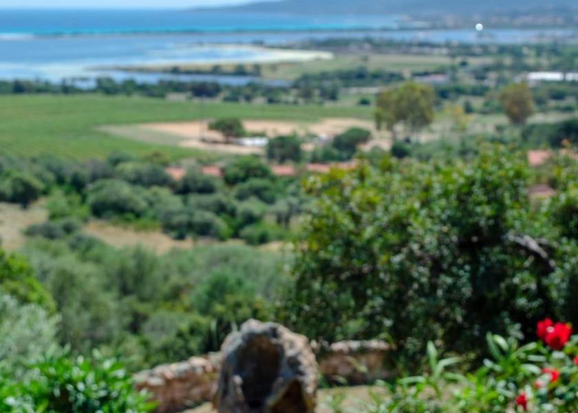 Sardinia San Teodoro garden