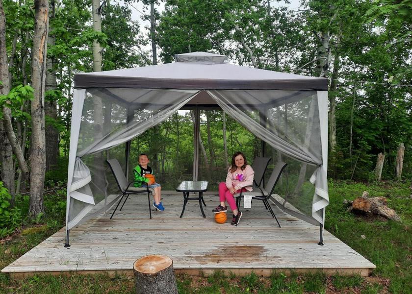 surrounding environment