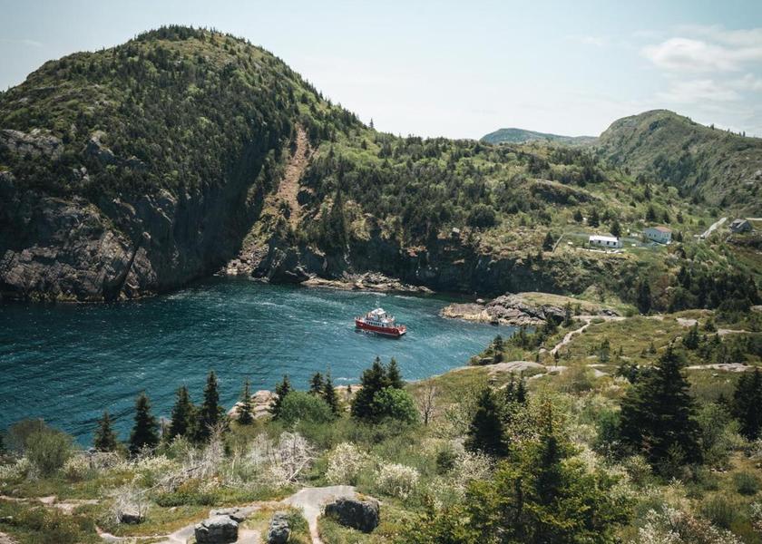 Newfoundland and Labrador St. John's surrounding environment