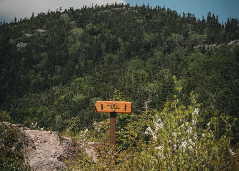 Newfoundland and Labrador St. John's sports and activities