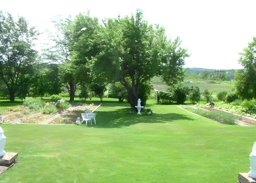 surrounding environment