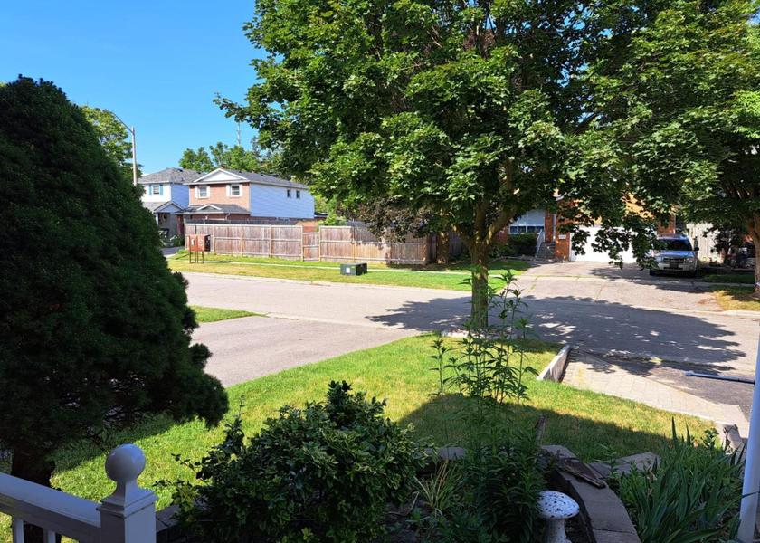 surrounding environment