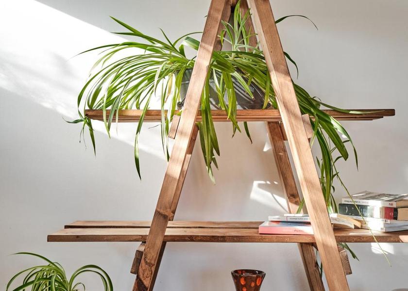 recreational facilities