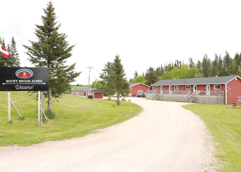 Newfoundland and Labrador Cormack 