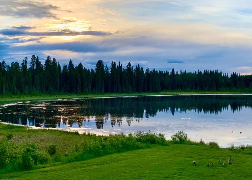 surrounding environment