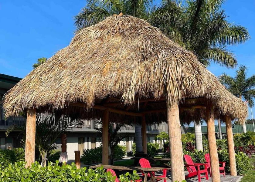 surrounding environment