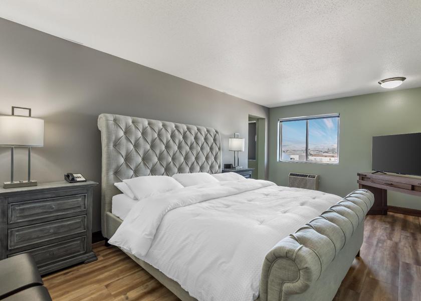 Wyoming Laramie Suite