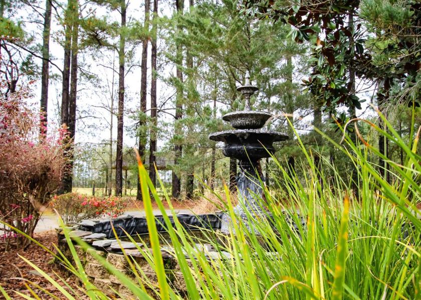 surrounding environment