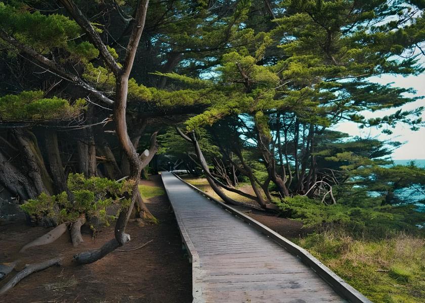California Fort Bragg surrounding environment