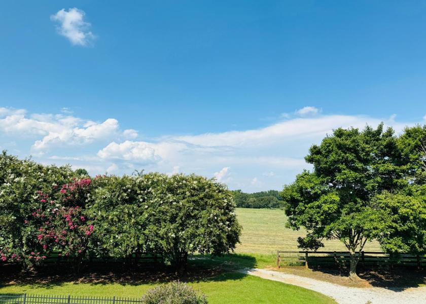 surrounding environment