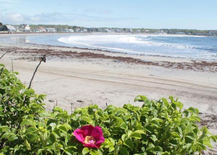 Maine Kennebunkport Beach