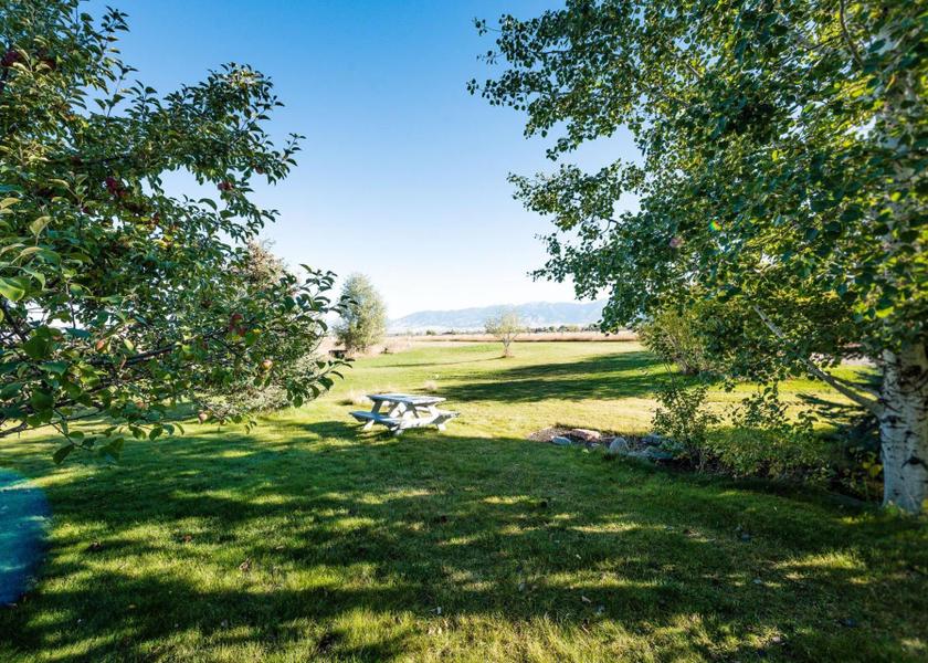 Montana Bozeman garden