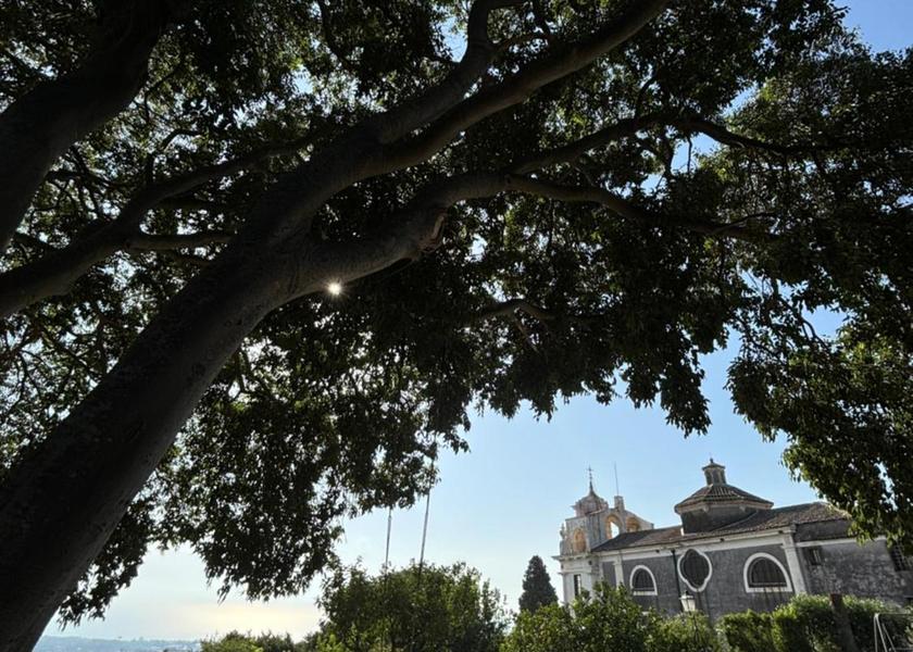 surrounding environment