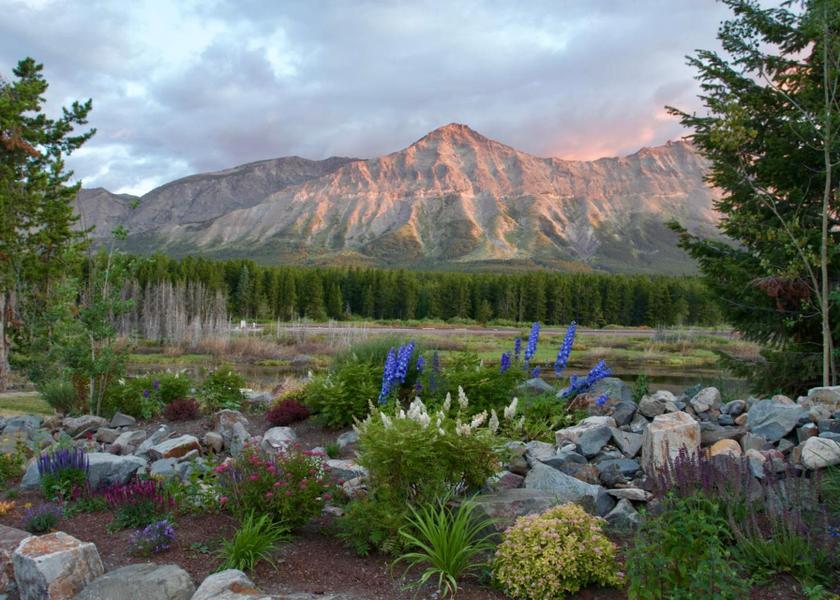 Montana East Glacier Park garden