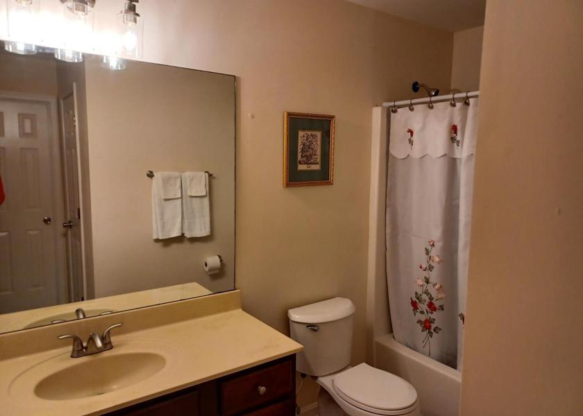 Georgia Austell bathroom
