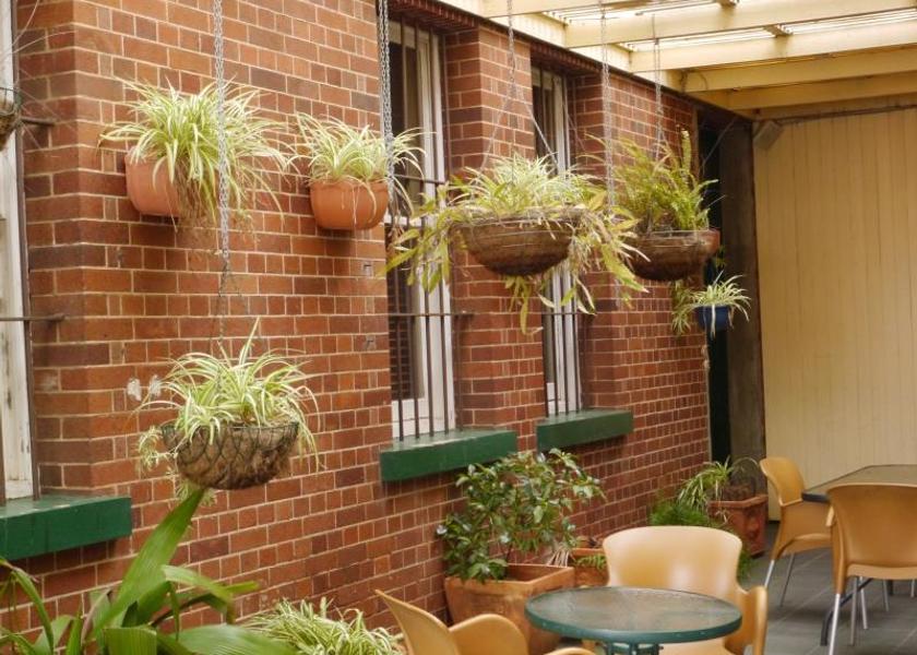 Queensland Warwick garden