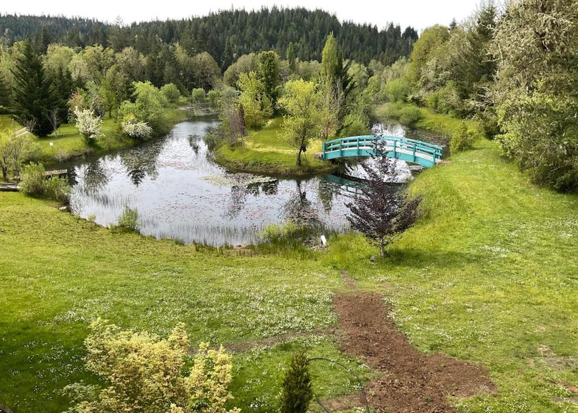 Oregon Cottage Grove view