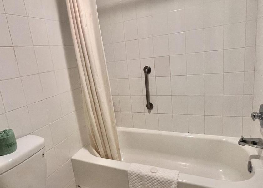 Virginia Culpeper King Suite with Spa Bath - Non-Smoking