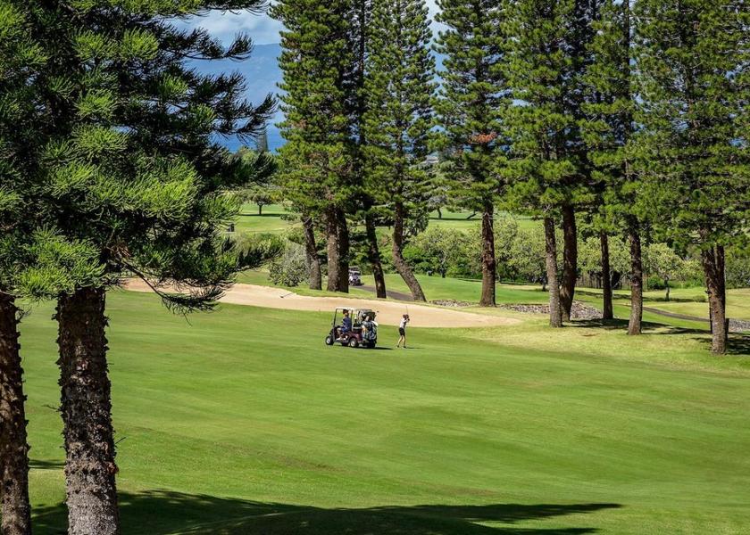 Hawaii Wailuku golf course [on-site]