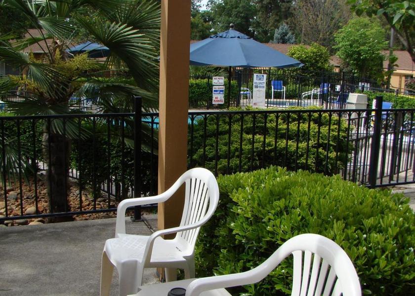 California Paradise garden