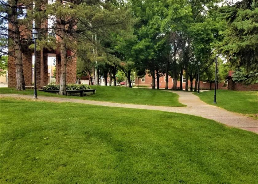 surrounding environment