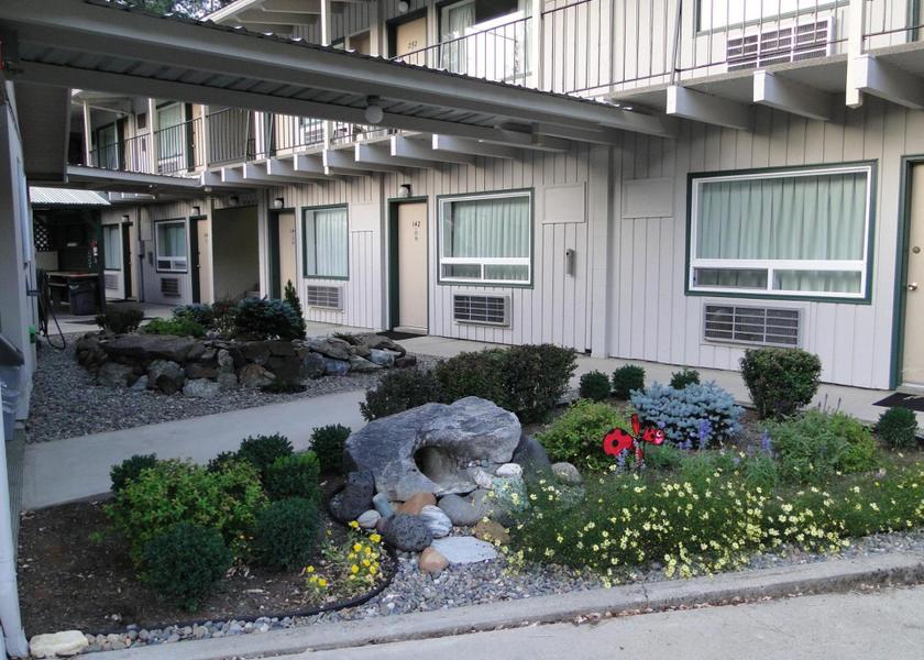 Idaho Orofino garden