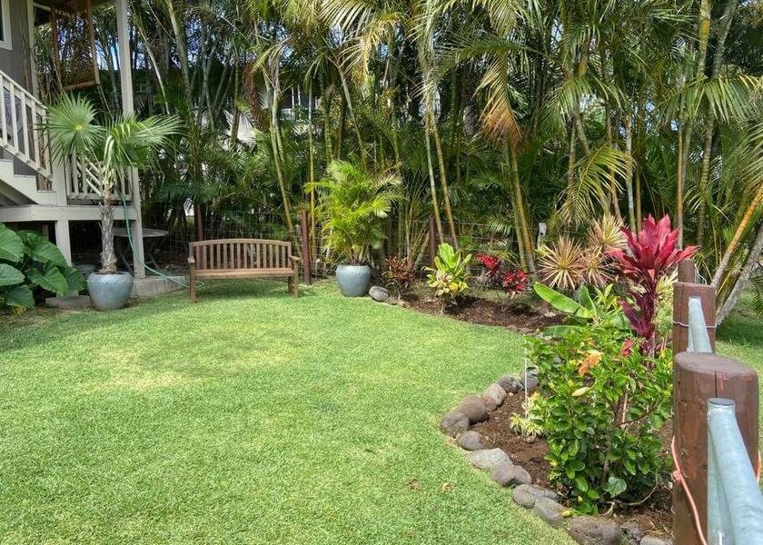 Hawaii Honokaa garden