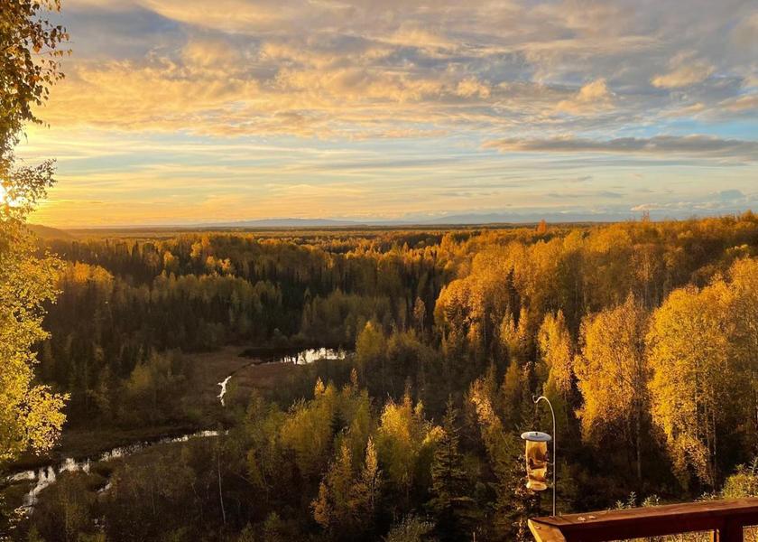 surrounding environment