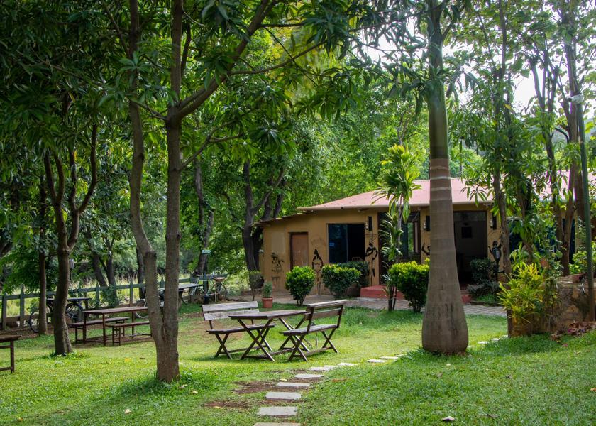 Maharashtra Shendi Hotel View