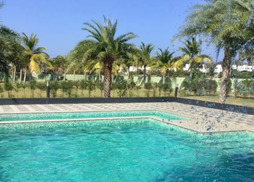 Tamil Nadu Mahabalipuram Pool