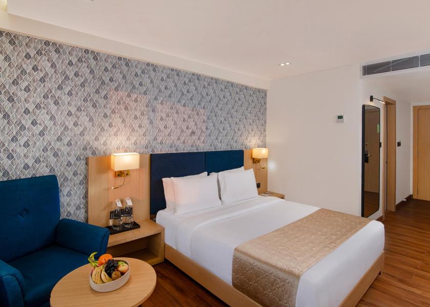 Madhya Pradesh Bhopal Superior King Room