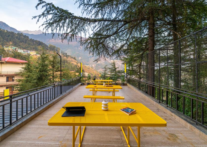 Himachal Pradesh Dharamshala Outdoors