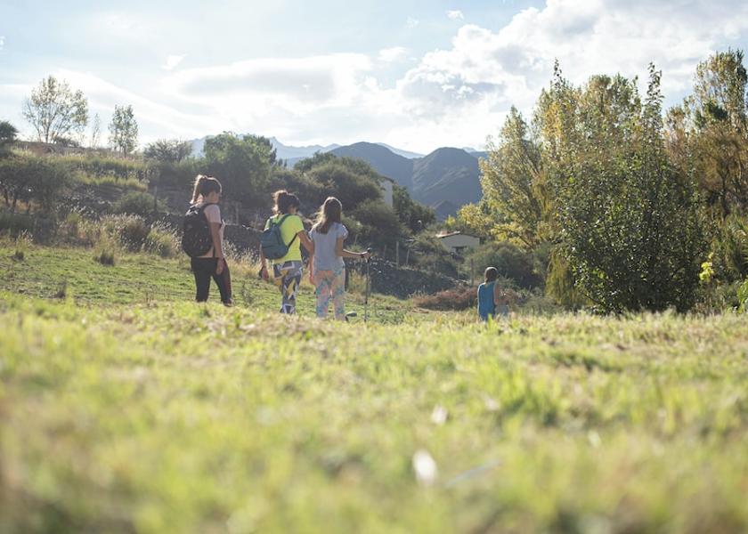 Salta Cachi Exterior Detail