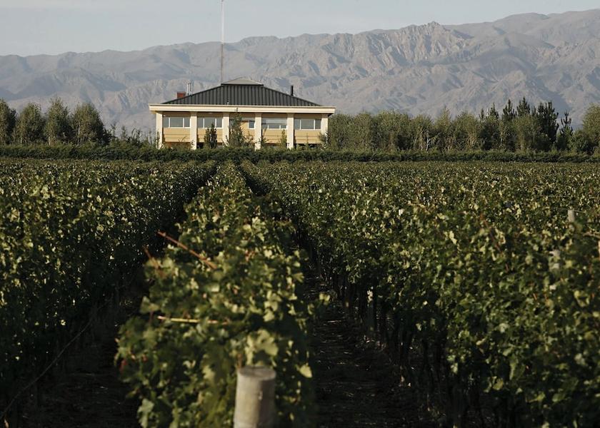 Mendoza Province Tunuyan Primary image
