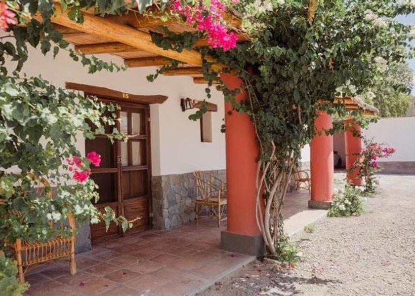 Salta Province Cafayate Garden