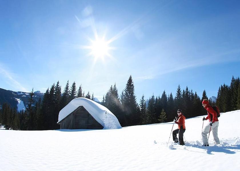 Upper Austria Bad Goisern Snow and Ski Sports