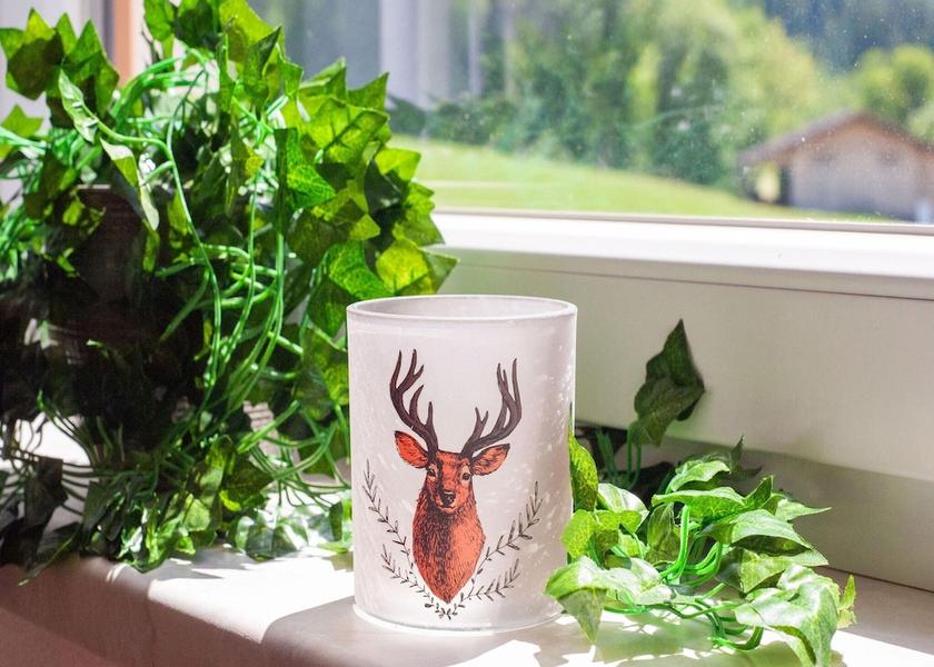 Tirol Hart im Zillertal Interior Entrance