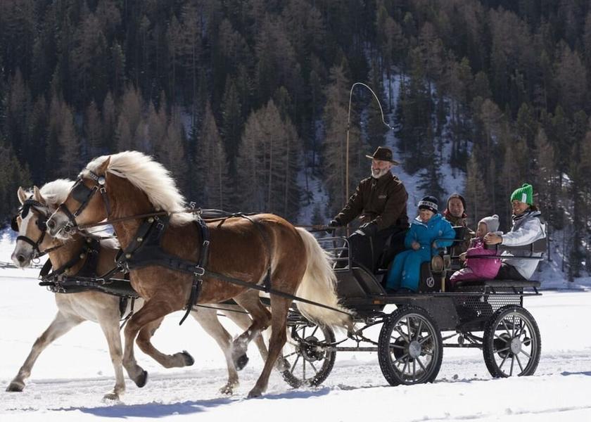 Tyrol Umhausen Snow and Ski Sports
