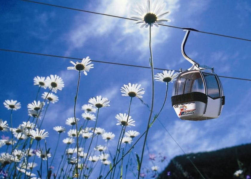 Tirol Reith im Alpbachtal View from Property