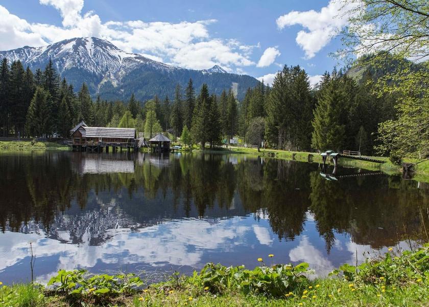 Styria Hohentauern View from Property