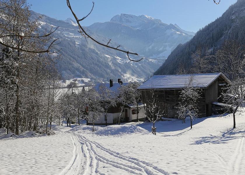 Tyrol Aschau Im Zillertal View from Property