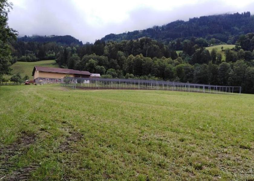 Tyrol Hart im Zillertal Garden