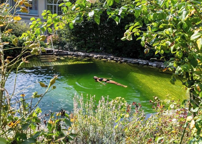 Vorarlberg Zwischenwasser Natural Pool