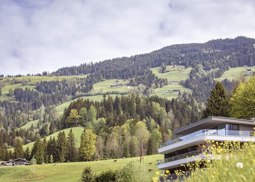 Tyrol Hopfgarten im Brixental Exterior Detail